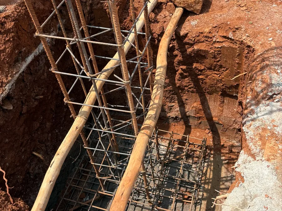 Column cage and shuttering
